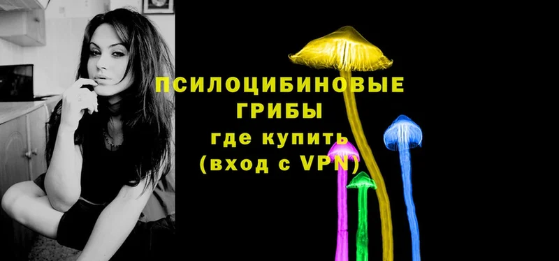 Псилоцибиновые грибы Magic Shrooms  Верхнеуральск 